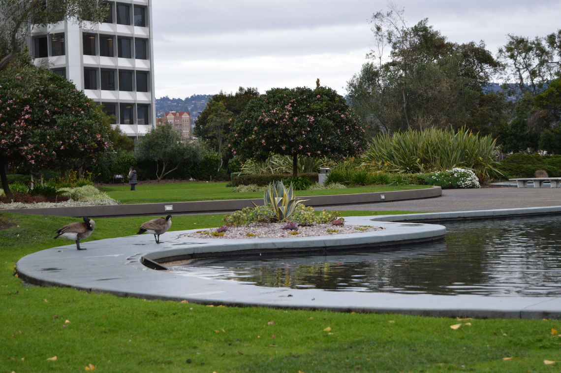 Kaiser Center