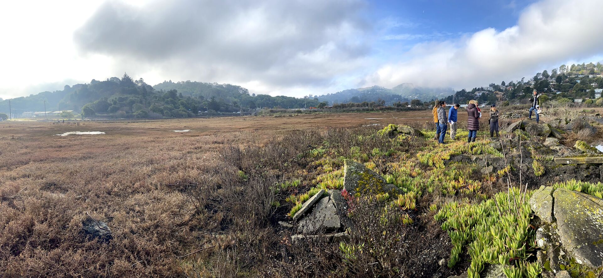 Bothin Marsh exploration | Mill Valley, CA