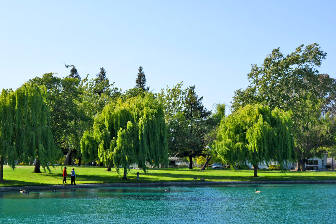 civic center park 1