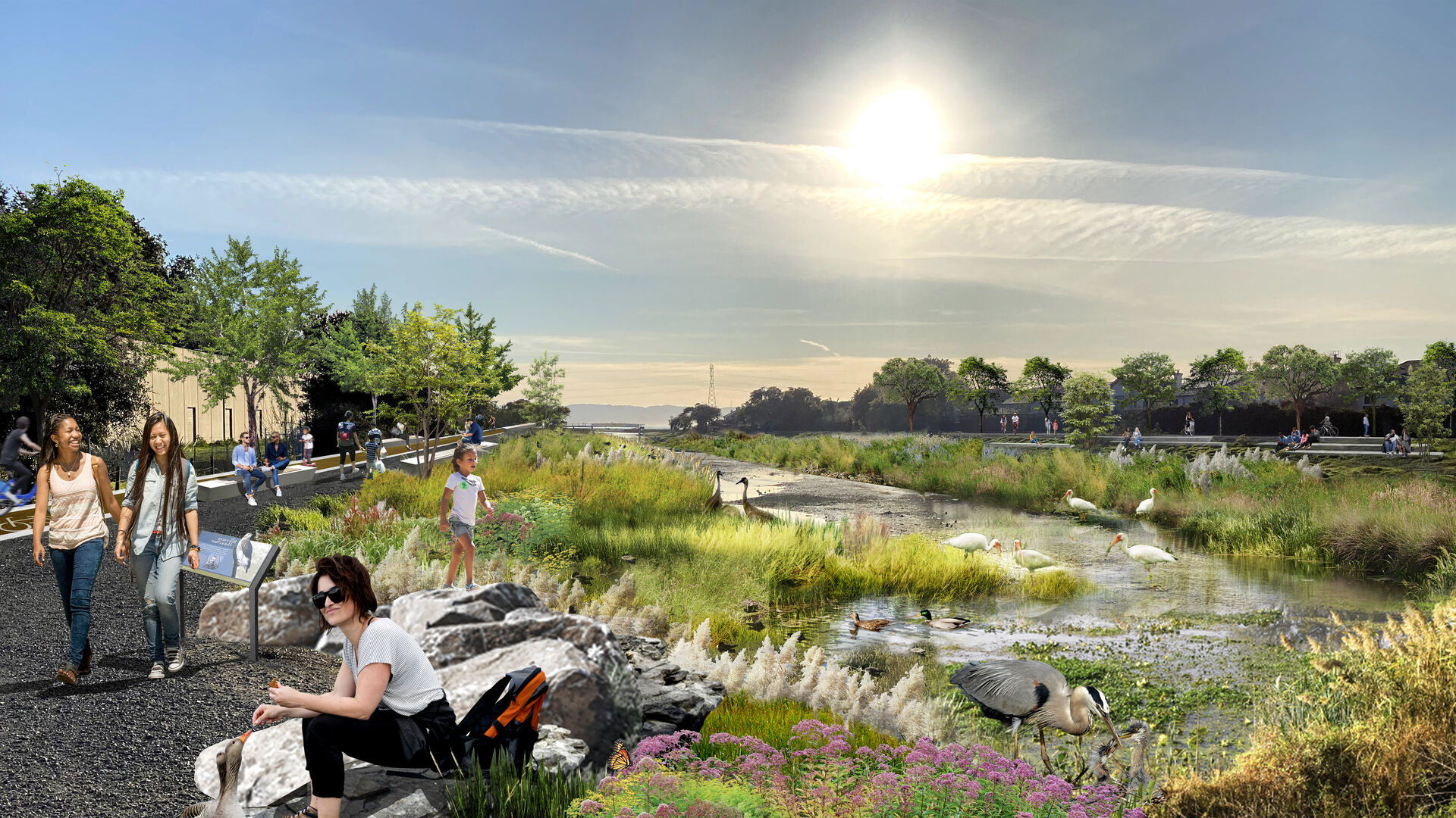 san lorenzo creek 2 rendering